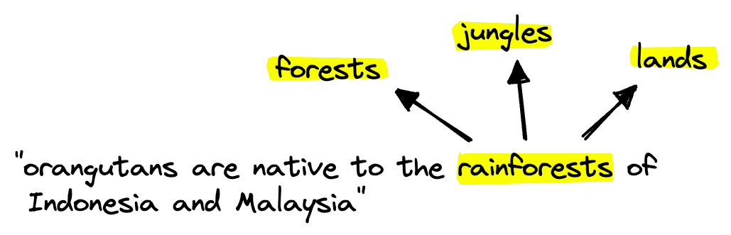 Image 4: Term expansion allows us to identify relevant but different terms and use them in the sparse vector retrieval step. | 图4:术语扩展允许我们识别相关但不同的术语,并在稀疏向量检索步骤中使用它们。